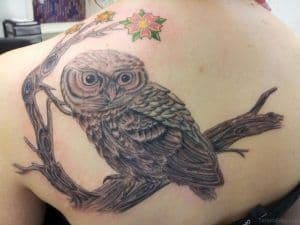 tatuajes de buhos