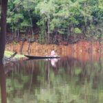 Curiosidades de la selva amazónica: secretos ocultos del pulmón del mundo